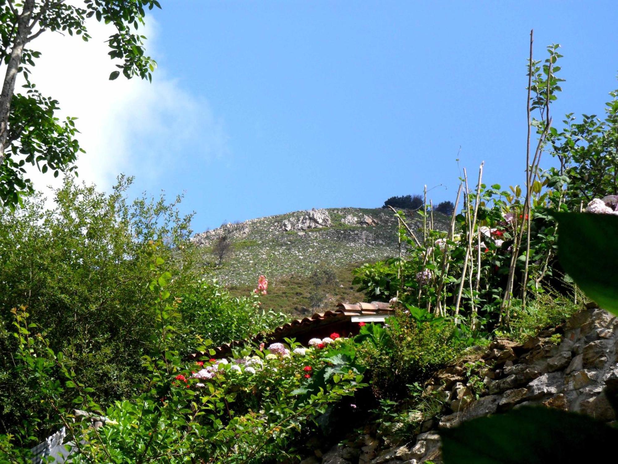 Casa Rural La Posada Del Alba Alea Eksteriør bilde